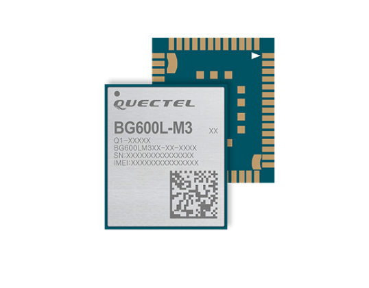 Q1-A4989 BG600LM3AA-D08-SGNSA