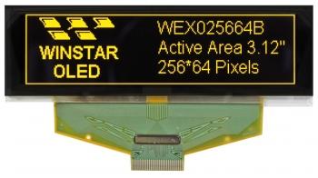 WEX025664BWPP3N00000