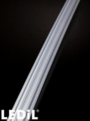F17201_LINDA-UP2